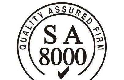 SA8000  1.jpg